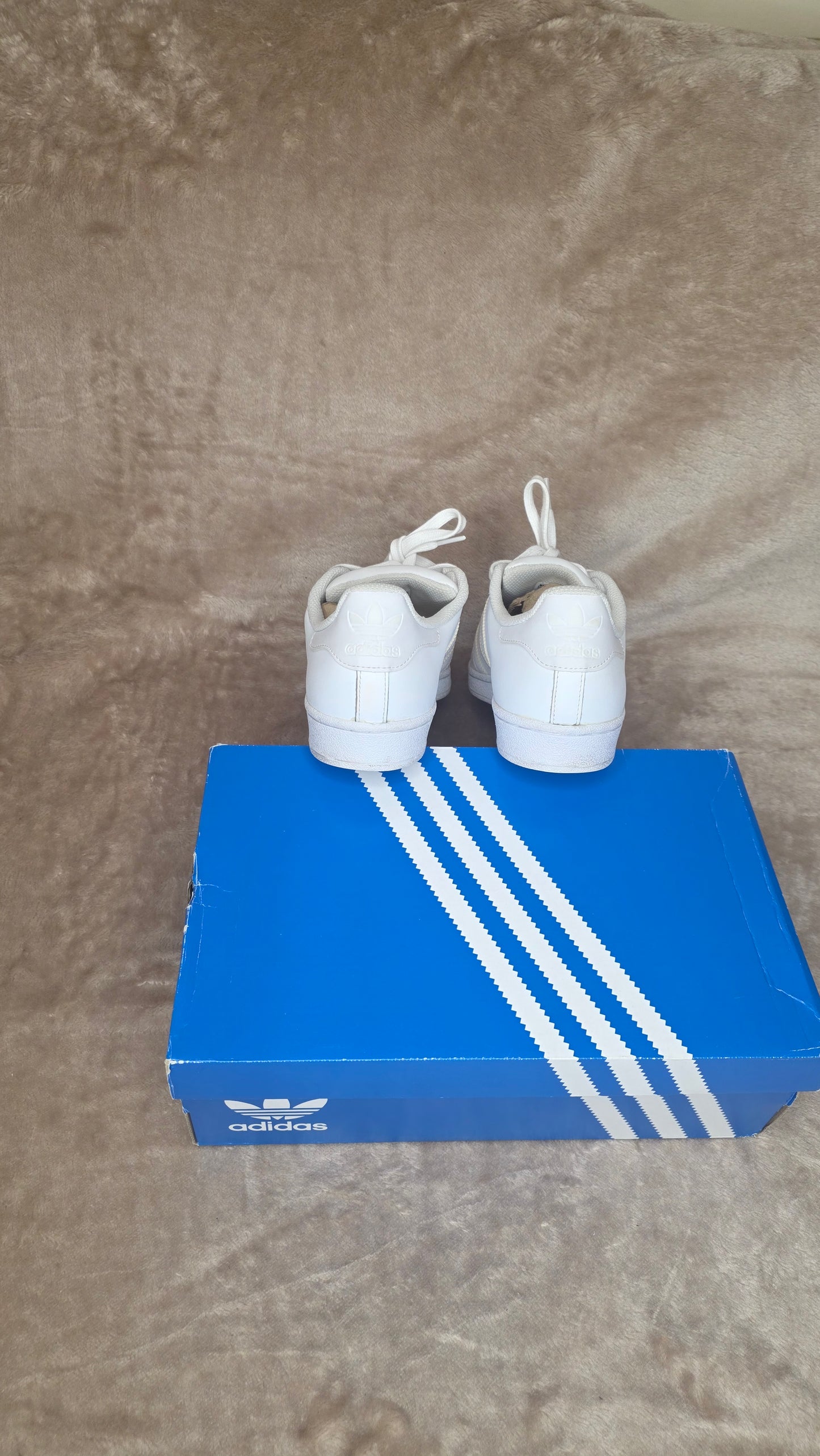 Adidas Superstars - White