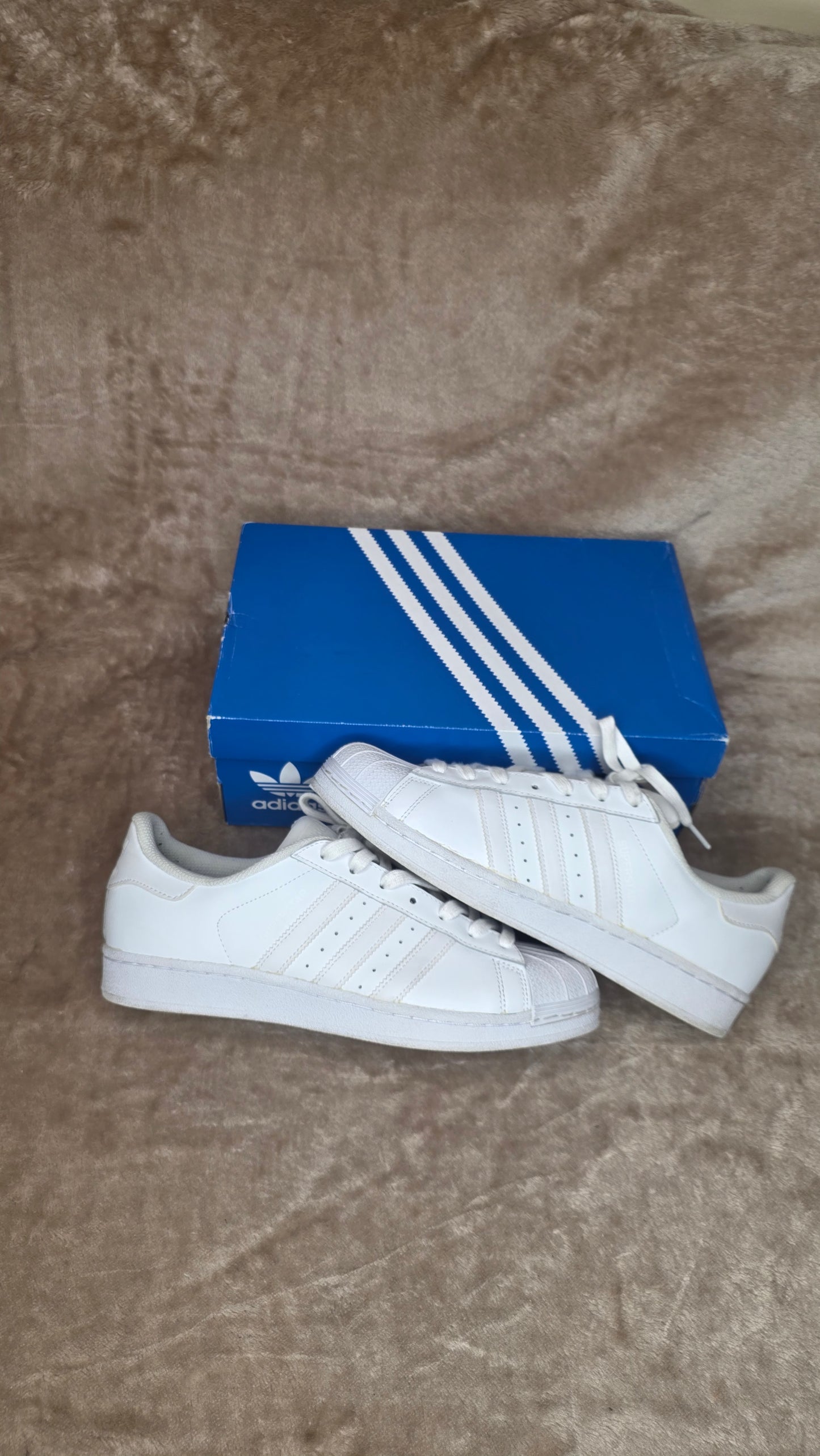 Adidas Superstars - White