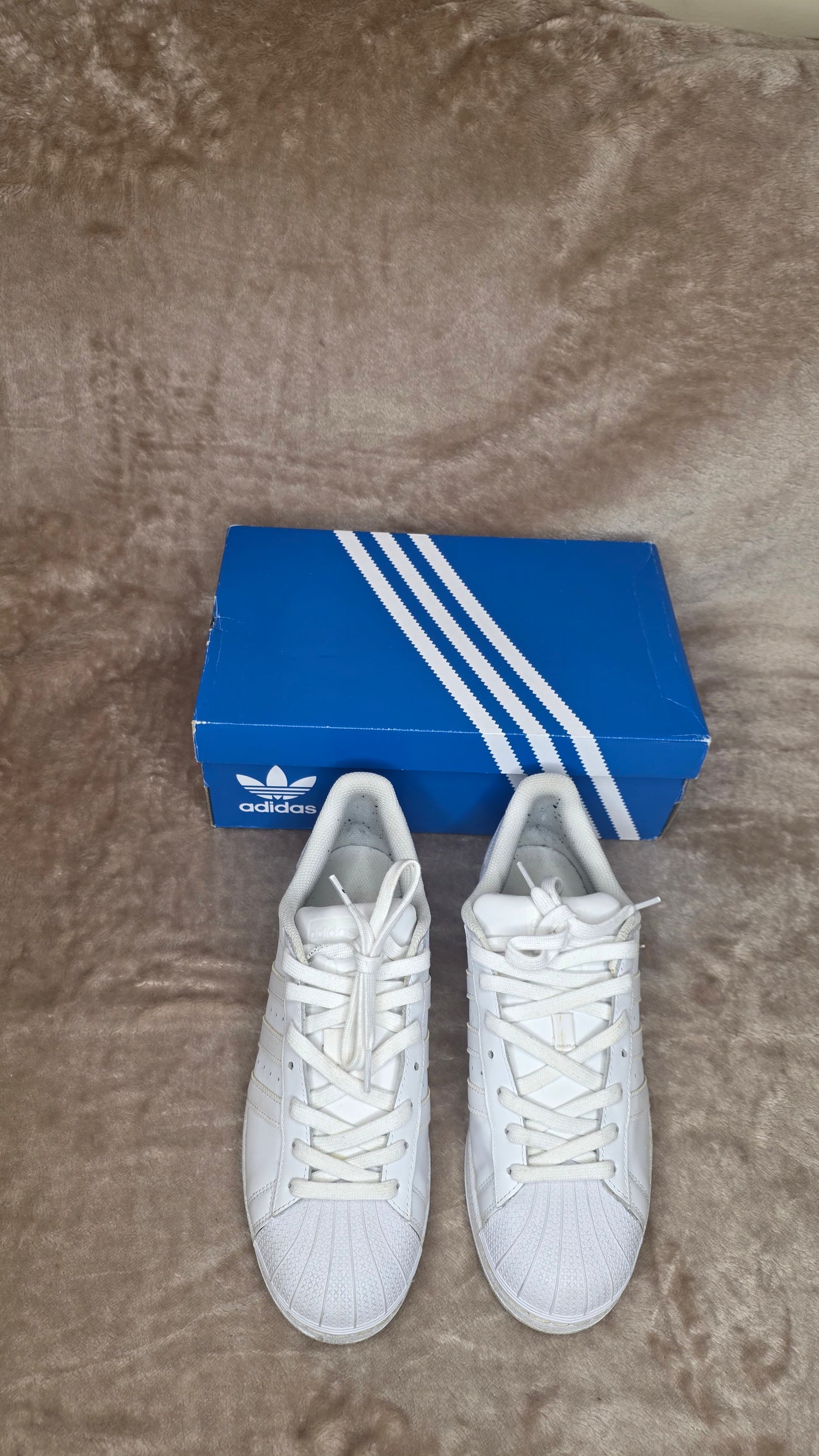 Adidas Superstars - White