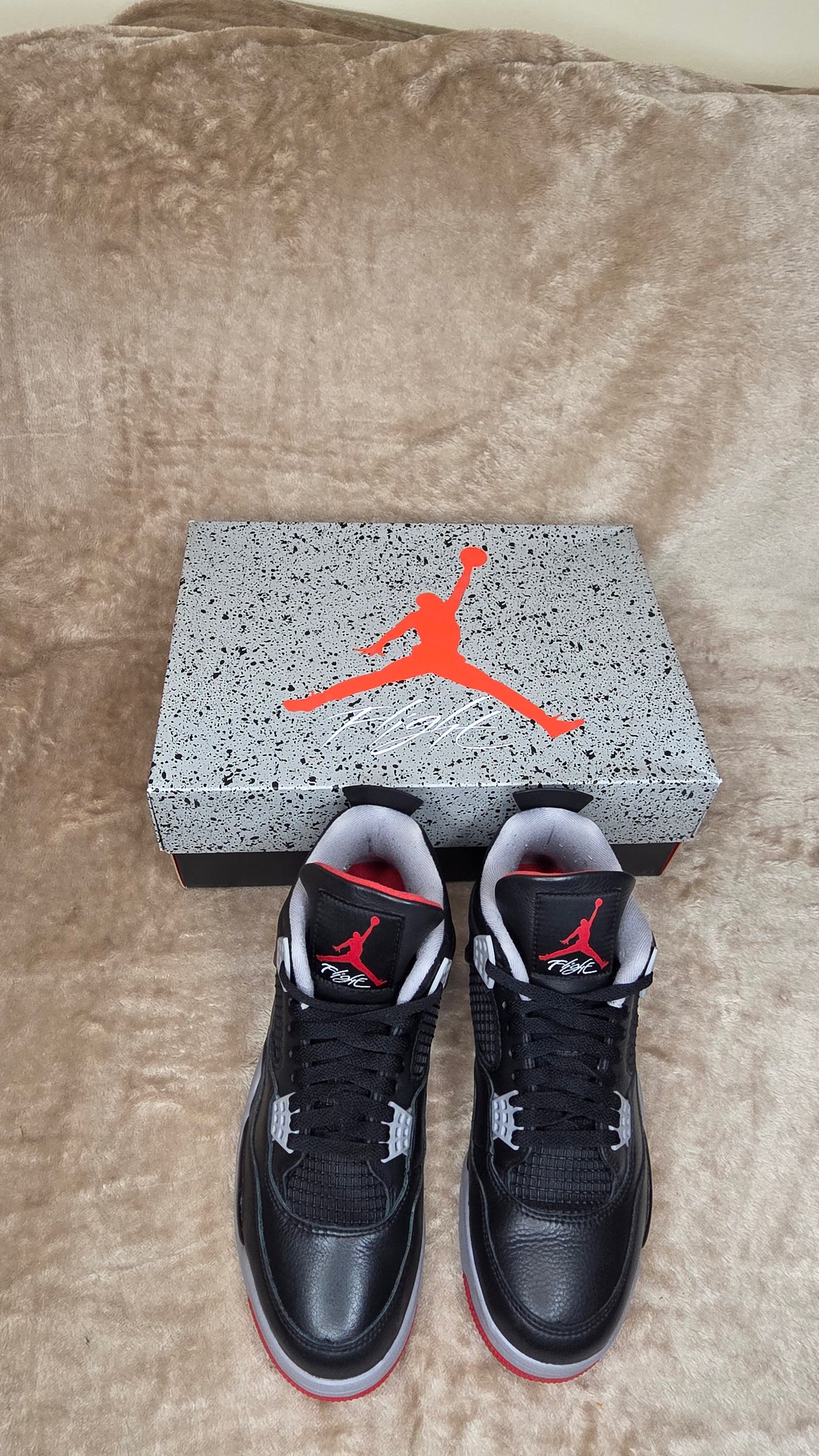 Jordan 4 - Bred Reimagined