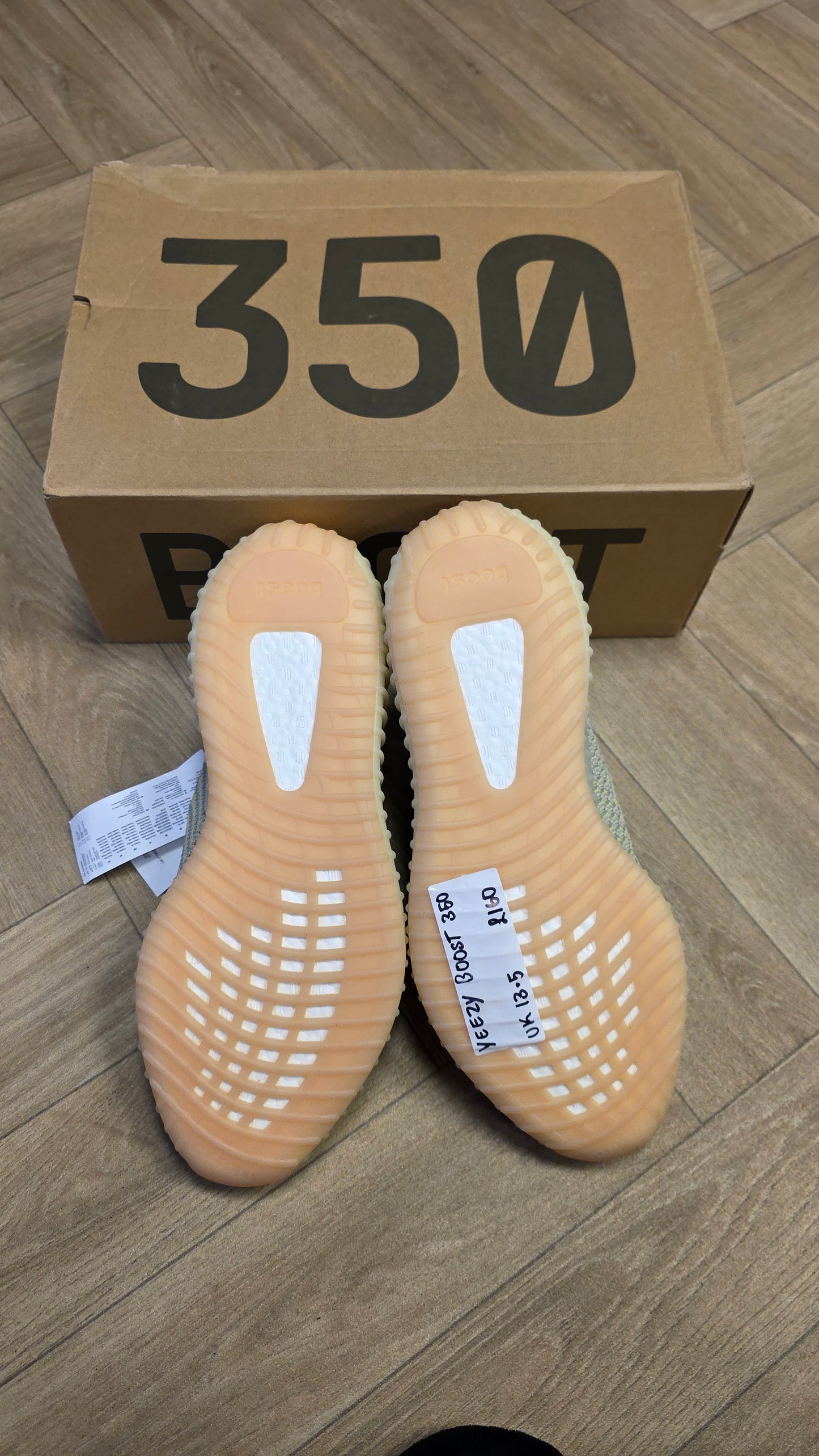 Yeezy Boost 350 Antlia