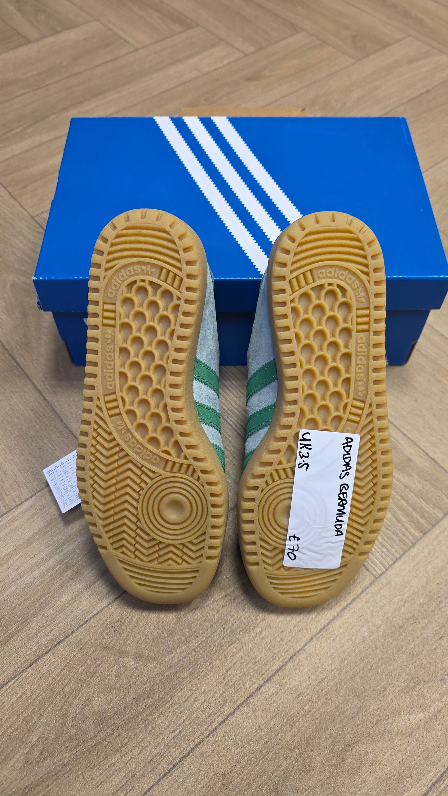 Adidas Bermuda Hazy Green